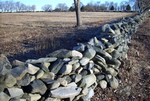 Geog-JamestownFarmWall