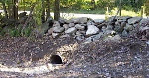 Hist-YoungCulvert