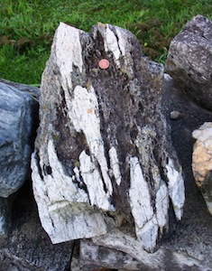 Stone-ZebraDolomite