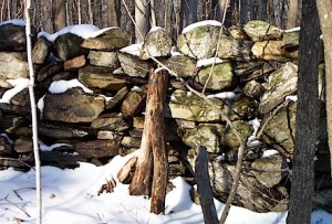 Classic historic fieldstone wall, also called the farmer's wall, the thrown wall, the tossed wall, the pasture wall, and the tumbled wall. 